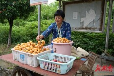 从异乡客到“云溪人”——肖少艾夫妻用27载汗水浇灌希望