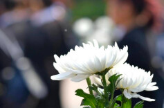 破立并举树新风——湖南稳步推进农村殡葬改革及散坟生态化治理