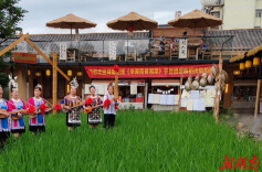 稻田院里追思远