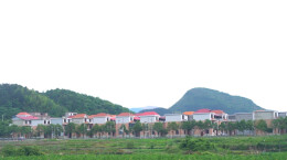 临武金江镇：人居环境焕新颜 美丽乡村入画来