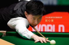 冠军致敬冠军！赵心童成为比亚迪冠军形象大使