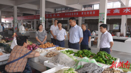 王启武调研督导大堰垱镇当前重点工作