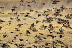 小区无主小动物,该不该投喂?