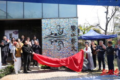 被一只青蛙唤醒的春天