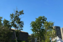 以诗见人    以文观圣