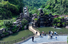 共赴“桐花之约”！临武千亩野生油桐花开成海