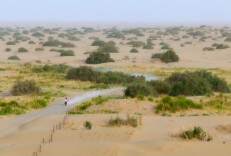 不止于环塔，他们爱上新疆的每一“面”