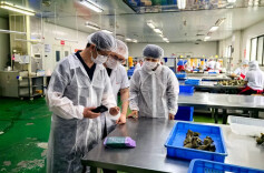 全省市场监管部门开展端午市场专项检查