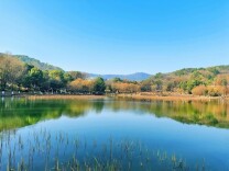 桃子湖生态治理启动“协同共治”展望新生态