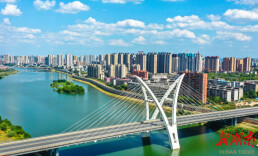 时代脉搏的精准捕捉与城市焕新的深度解读