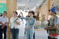 【第四届湖南旅游发展大会】雷欣督导省旅发大会观摩项目收官阶段工作