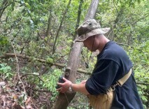 新晃开展2025年野生动物监测：发现10种新鸟类