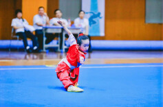 长沙第11届运动会⑪｜武术套路比赛少年组开赛 360余名武术小将赛技能展风采