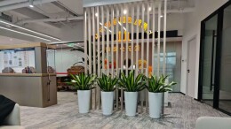 记者暗访旅游公司“免费游”乱象：把老人拉去常州开会，推销高额返息“旅游卡”