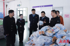 蓝山税务：坚守初心使命 铸就税务文明新高度