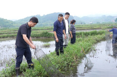 虾稻轮作！临武县塘下村生态养殖助农增收，预计户均增收达2万元