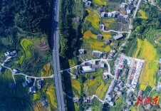 “爱上桂东·高海拔之恋”主题影像展第二期征集公告