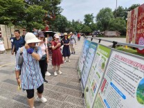 桃花源开展“六五环境日”宣传活动 