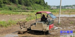 资兴市蓼江镇：“芒种”时节插秧忙