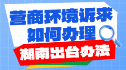 政策简读丨营商环境诉求如何办理 湖南出台办法