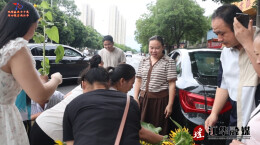 江华：家长自种向日葵送考 祈愿孩子一举夺魁