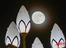 手机拍月亮 夜色别样美