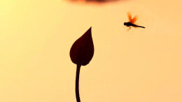 新品发布 | 周立春夏日首拍，开启摄影绘画的跨界实验