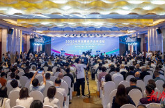 2025中非民营经济合作论坛在长沙举办