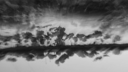 张乃夫：慢门定格荷花，拍出东方水墨画的空灵之美