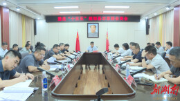 王启武主持召开澧县“十五五”规划基本思路会商会