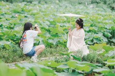 组图 | 衡阳蒸湘夏日新景：十里荷塘荷花初绽，邂逅早夏诗意