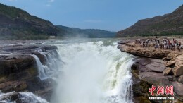 当“清瀑飞流”遇上“彩虹通天” 陕西壶口瀑布呈现别样壮美景观