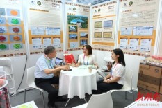 借展会东风  拓外贸新局——君山区商务局积极参加第四届中非经贸博览会