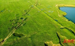 洞庭湖畔的乡音密码——品《华容方言研究文集》里的千年回响