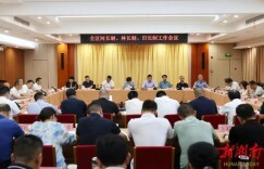 雷欣主持召开全区“三长制”工作会议 部署推进河长制林长制田长制工作走深走实