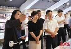 学习取经拓思路 擘画文旅新图景——雷欣陈淼带队赴岳阳楼区、南湖新区、市城投集团考察省旅发大会观摩项目