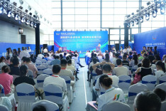 保靖黄金茶亮相中非经贸博览会 迈向“出湘出海”新征程