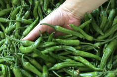 三湘时评｜“辣”出新高度 “融”出新天地