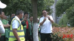 【一迎三创 提升城市品质】夏季园林绿化养护忙