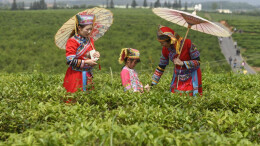 文明花开满瑶山——江华瑶族自治县二十三年完成华丽转身