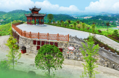 四年九倍跃升 大水坪村因何而蜕变