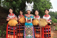 漠滨金塘溪村：百亩“红”梅映山乡 甜蜜产业绘新章