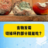 科普一下｜食物发霉，切掉坏的部分就能吃？