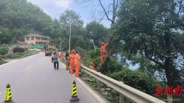 给行道树体检“瘦身”，“剪”少公路安全隐患