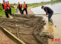 净滩护河优环境  生态赋能促发展