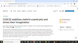 南华大学陈志明教授团队在生物医学领域顶刊eLife发表最新研究成果