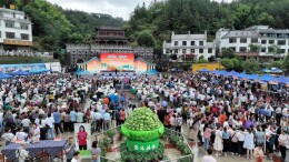 灶台方寸间烹出乡村振兴新滋味——桂东县首届“村厨大赛”决赛侧记