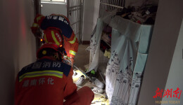 辰溪县：眼镜蛇“闯入”民宅 消防紧急处置守护平安