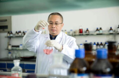 单杨院士的柑橘“魔法”