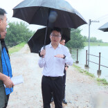 冷亮督导防汛工作